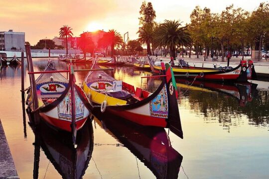 Porto: Private tour Aveiro & Costa Nova + Cruise and Ovos Moles