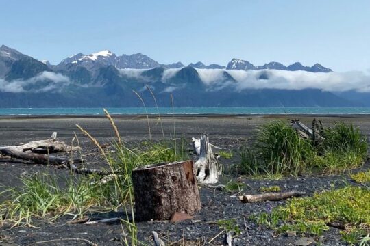 Tonsina Beach Hike with Seward Guided Hikes