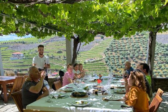 Douro: Exquisite Walk at Quinta do Vallado with Lunch