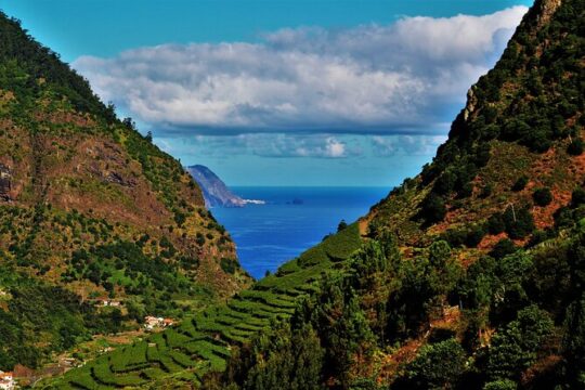 Madeira Island Private Wine Full-day Tour in all terrain vehicle