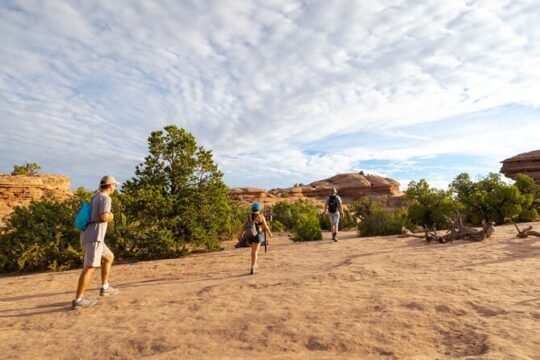 Western National Parks Tour from Las Vegas to San Francisco