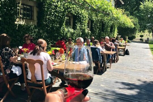 Private walking tour in Quinta da Pacheca with lunch and wines