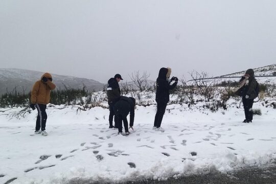 Private Tour through Serra da Estrela Park and its famous cheese