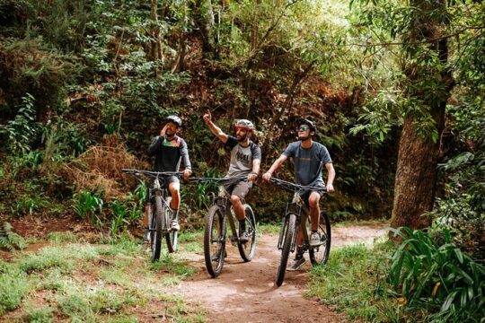 Guided Tour Electric Mountain Bike Experience