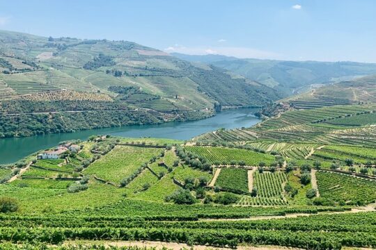 Douro Valley private tour includes wine tasting and boat trip