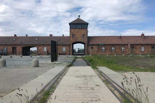 Auschwitz-Birkenau and Wieliczka Salt Mine Museum Guided Tour from Krakow