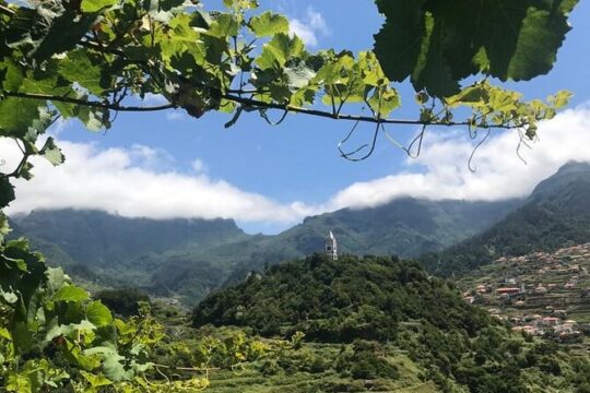 Wine Day Tour & Lunch in the Vineyard