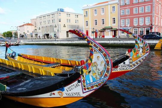 Aveiro and Coimbra Small Group Tour with River Cruise from Porto