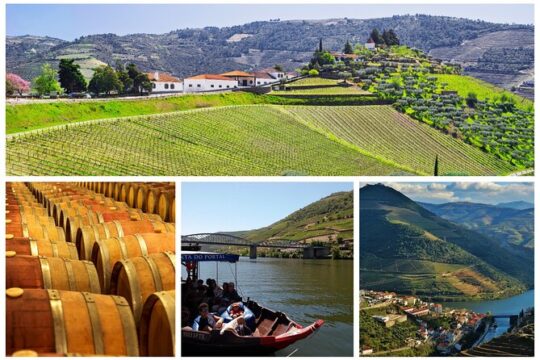 Porto Douro Valley Full-Day Wine Tasting, River Cruise and Lunch