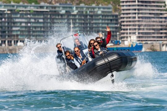 Porto Douro Speedboat Tour - Daytime or Sunset