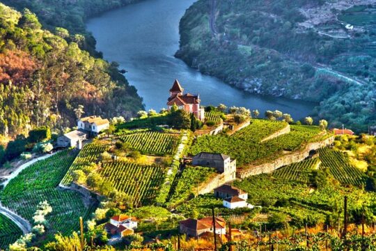 Douro Valley Private Tour with Wine Tastings from 2 Wineries