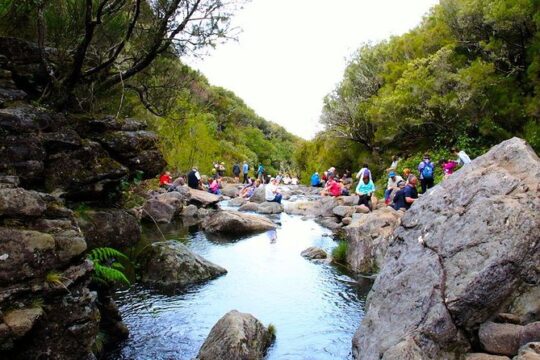 Walk - Madeira lakes