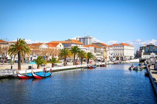 Private Tour Porto to Lisbon Aveiro Nazaré Obidos