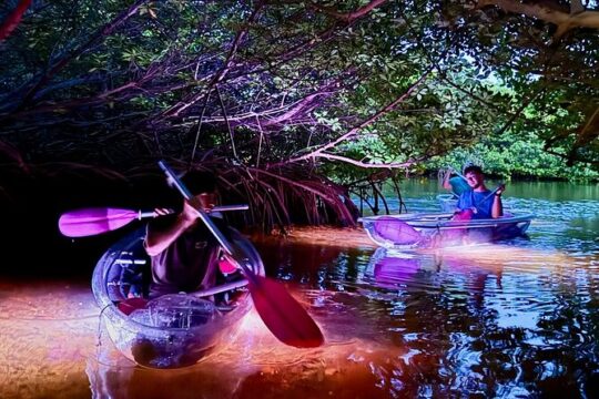 Guided Night Kayak Adventure Tour in Luminous Lagoon