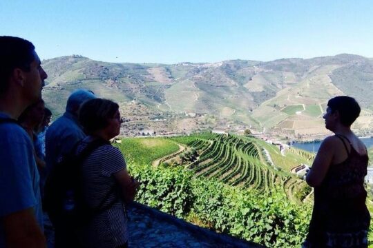 Small Group Douro Wine Valley Tour with Lunch and Wine Tasting