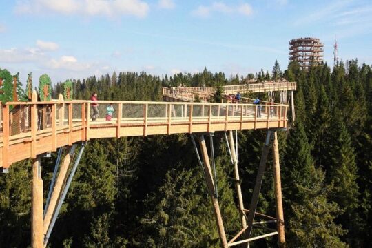 Full-Day Tour of Zakopane and Slovakia Treetop from Krakow