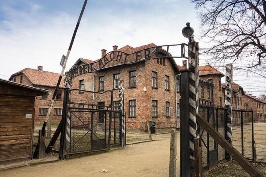 Krakow: Auschwitz-Birkenau & Salt Mine OneDay Tour (hotel pickup)