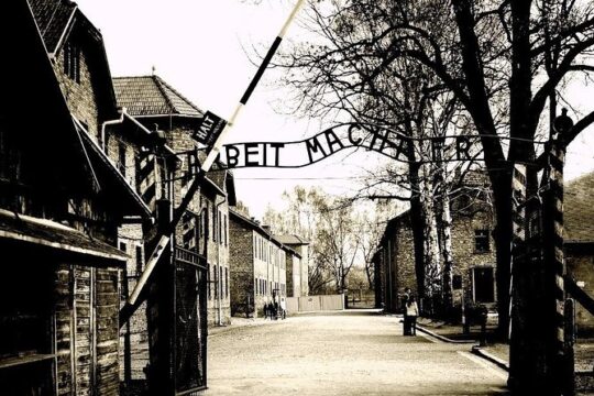 Auschwitz-Birkenau guided tour from Krakow with Ticket & Transfer