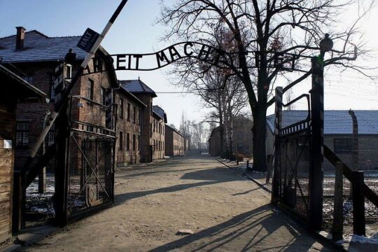 Auschwitz-Birkenau and Salt Mine Full day tour