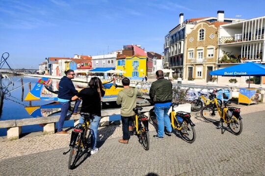 From Porto: e-Bike Tour in Aveiro, Boat Trip and Costa Nova!