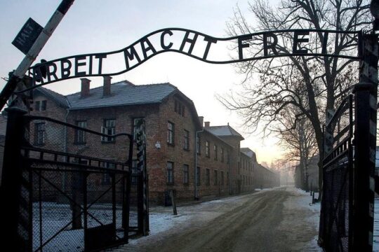 Auschwitz-Birkenau Memorial and Museum Guided Tour from Krakow