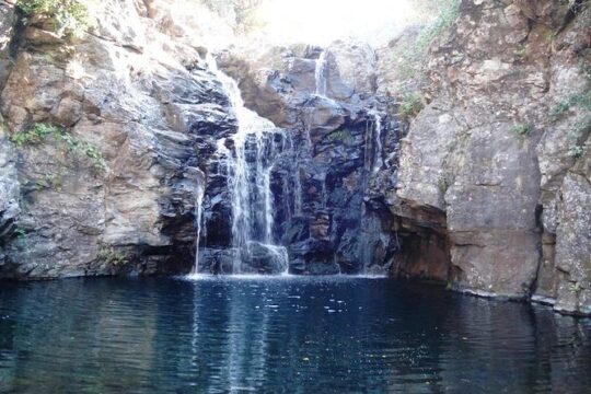 Private Guided Walk Levada Alecrim