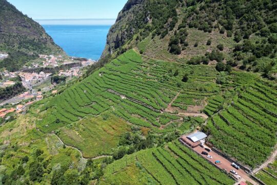 Wine taste, 4x4 Jeep Adventure and Cabo Girão Skywalk