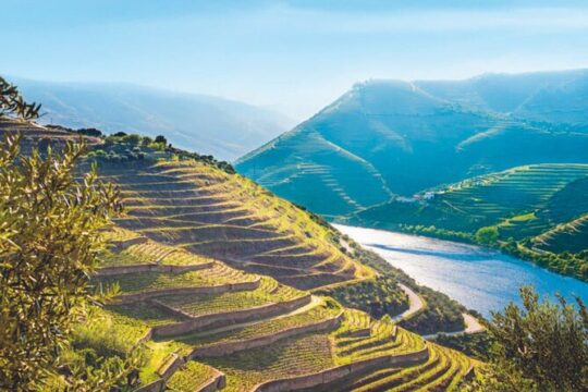 Private Douro Valley Tour with Yacht, Wine tasting and Lunch