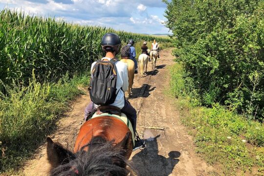 Horseback Riding Tour In Brasov - Ride Through Fields, Forests & Hills