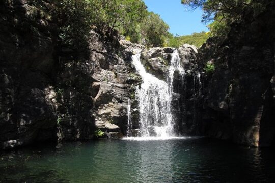 "Levada do Rosemary"