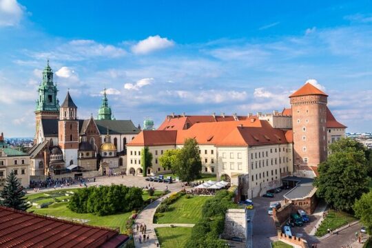 Wawel Castle and Cathedral Guided Walking Tour in Kraków