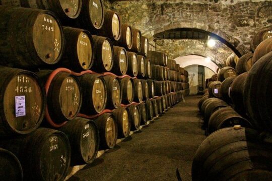 Porto Wine Tour with Tasting and Wine Houses Visit