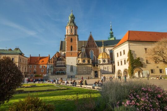 Krakow Guided Tour Wawel Castle Cathedral and Rynek Underground