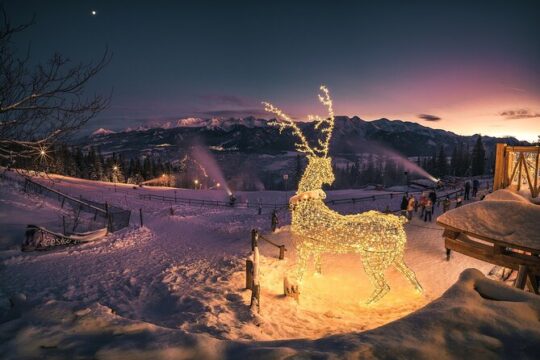 Zakopane & Thermal Hot Springs with Private Vehicle