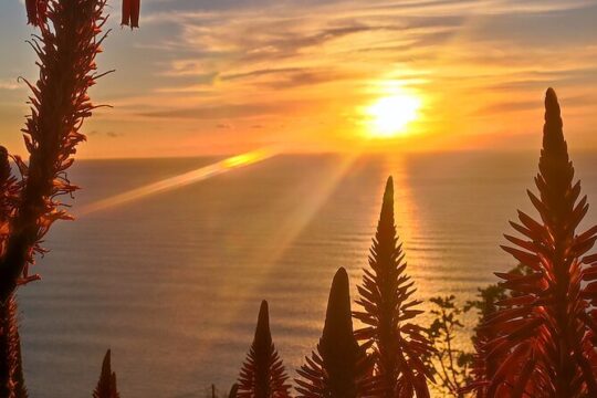 Madeira Sunset Expedition's - Private 4x4 Jeep Tour