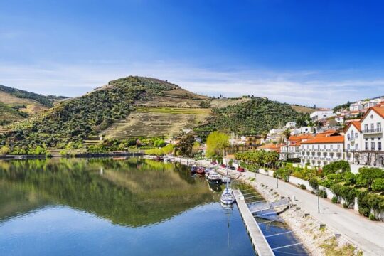 Private Wine & Food Tour in Douro