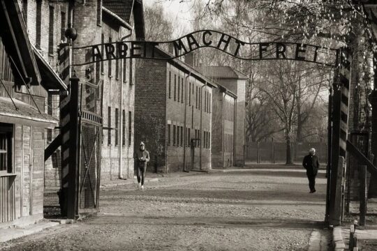 Auschwitz-Birkenau Guided Shared Tour from Krakow