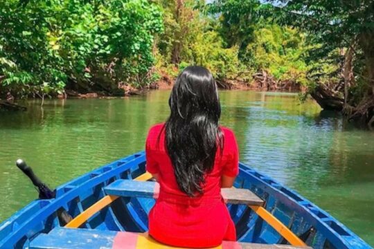 Dominica Indian River Discovery (Includes Lunch)