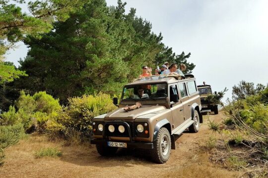 Eastern Madeira Sustainable Tour in a 4x4 with Lunch