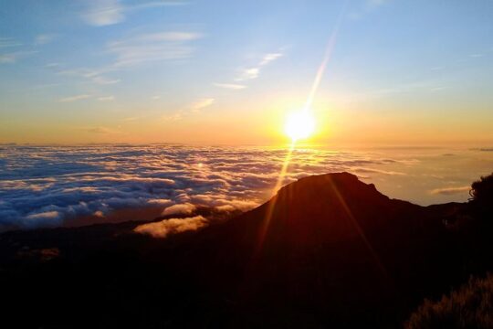 Madeira Top Sunrise