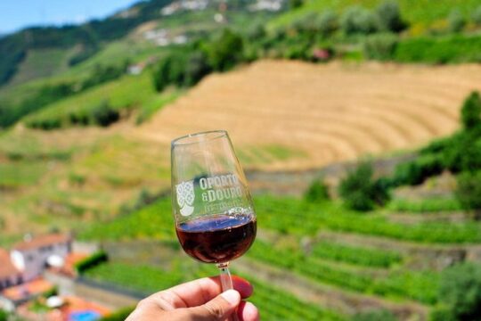 Private off the beaten Douro Valley Wine Tour