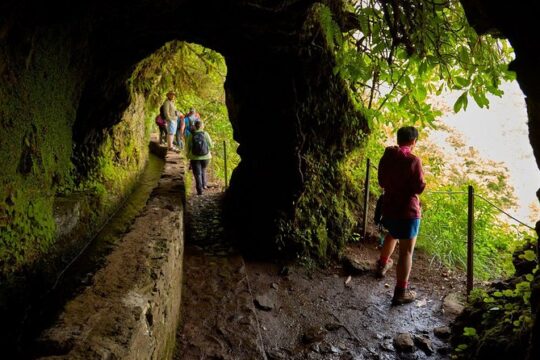 Walk Green Cauldron - Maze Forest