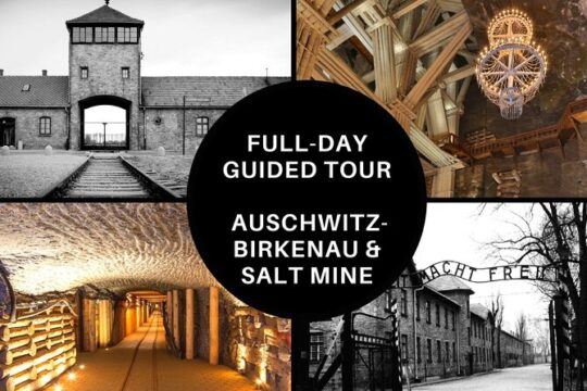 Full-Day Auschwitz-Birkenau and Salt Mine from Krakow