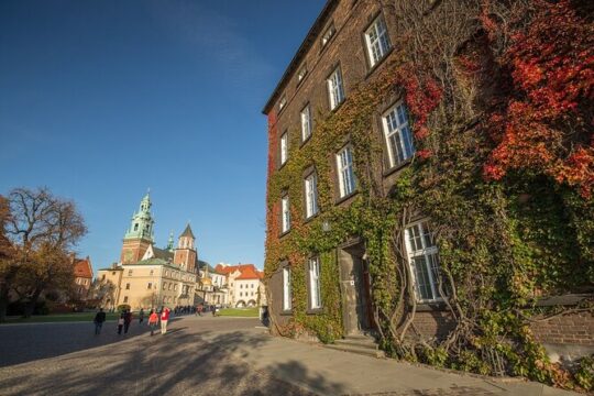 Half-Day Guided Wawel Tour and Vistula River Cruise with Lunch