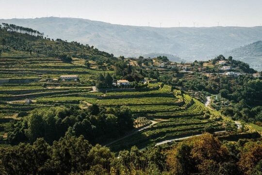 Premium Private Douro & Vinho Verde Tour: Wine Tastings & Lunch