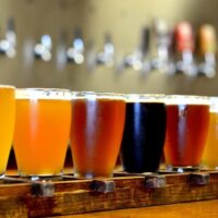 Beer & Brewery Tours