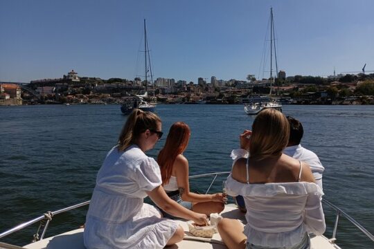 Private Boat Trip along Ribeira do Porto and 6 Bridges (1h30m)