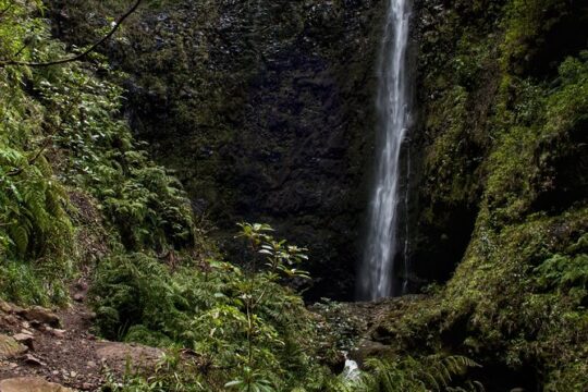 Queimadas - Caldeirão Verde (Full Day Walk)