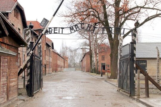 From Krakow: Auschwitz-Birkenau Memorial and Museum Guided Tour