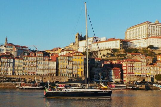 The Best Douro Boat Tour